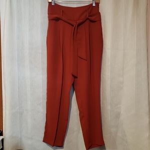 Terracota Zara Basic palazzo style pants